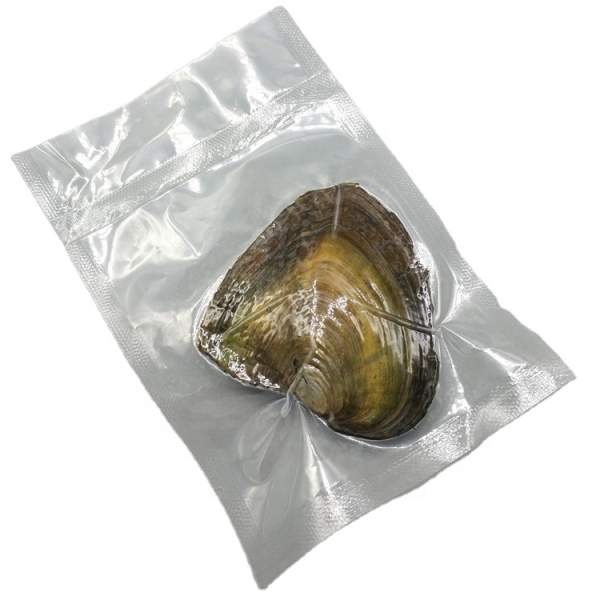 Wholesale natural Freshwater real pearl oyster Shell Wish Oyster fresh cultured oyster pearl